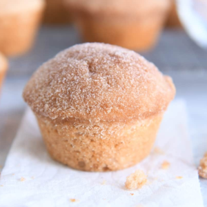 Cinnamon Sugar Muffin